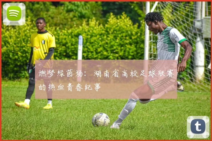 燃梦绿茵场：湖南省高校足球联赛的热血青春纪事
