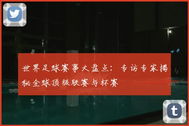 世界足球赛事大盘点:专访专家揭秘全球顶级联赛与杯赛