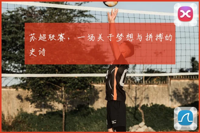 苏超联赛,一场关于梦想与拼搏的史诗