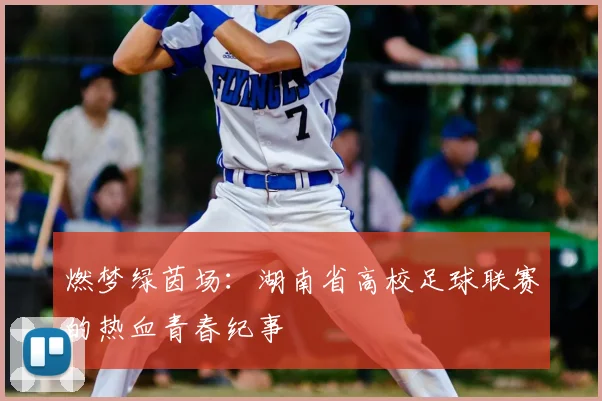 燃梦绿茵场：湖南省高校足球联赛的热血青春纪事